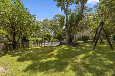 Acreage/Semi-rural Sold - NSW - Brierfield - 2454 - Enchanting country home with breathtaking views and river frontage...  (Image 2)