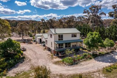 Other (Rural) For Sale - NSW - Marulan - 2579 - "COORAIN" 100 ACRES ON TOP OF THE WORLD, VIEWS FOREVER, MAGNIFICENT HOMESTEAD + GUEST HOUSE WITH YOUR OWN PINE FOREST AND A GREAT LOCATION.  (Image 2)