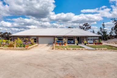 Other (Rural) For Sale - NSW - Marulan - 2579 - "COORAIN" 100 ACRES ON TOP OF THE WORLD, VIEWS FOREVER, MAGNIFICENT HOMESTEAD + GUEST HOUSE WITH YOUR OWN PINE FOREST AND A GREAT LOCATION.  (Image 2)