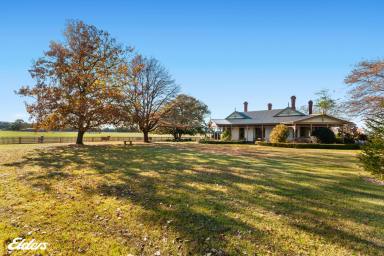Other (Rural) For Sale - VIC - Devon North - 3971 - COUNTRY ELEGANCE "RIVERSLEIGH"  CIRCA 1880  (Image 2)