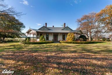 Other (Rural) For Sale - VIC - Devon North - 3971 - COUNTRY ELEGANCE "RIVERSLEIGH"  CIRCA 1880  (Image 2)