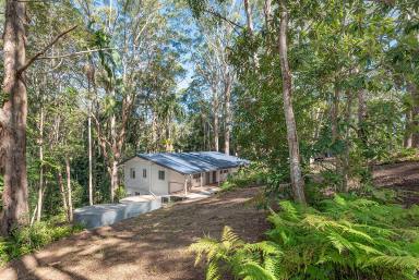 House Leased - QLD - Verrierdale - 4562 - Home on acreage  (Image 2)