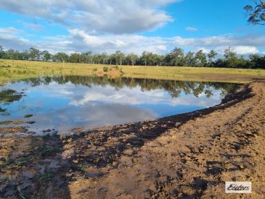 Acreage/Semi-rural For Sale - QLD - Burrum River - 4659 - Looking for More Space? We Found 126 Acres 10 Minutes from the Ocean!  (Image 2)