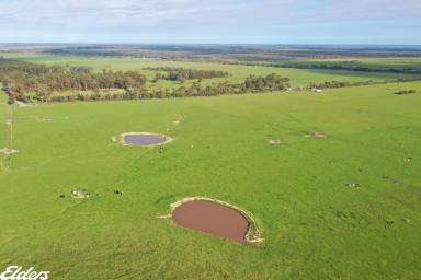 Livestock For Sale - VIC - Hedley - 3967 - FARMLAND OPPORTUNITY AT HEDLEY  (Image 2)