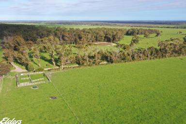 Livestock For Sale - VIC - Hedley - 3967 - FARMLAND OPPORTUNITY AT HEDLEY  (Image 2)