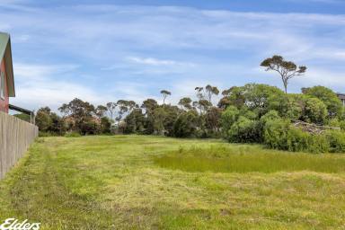 Residential Block For Sale - VIC - Port Albert - 3971 - HIGHLY SOUGHT AFTER  PORT ALBERT BLOCK!  (Image 2)