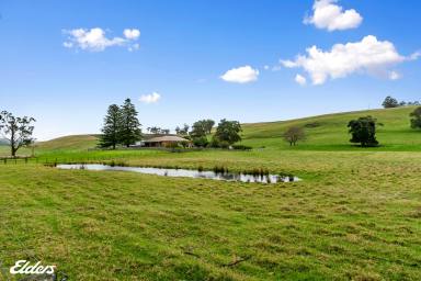 Other (Rural) For Sale - VIC - Jack River - 3971 - PICTURE POSTCARD SETTING WITH PLENTY OF PRIVACY  (Image 2)