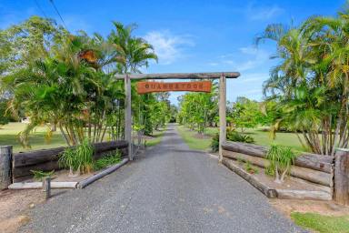 Acreage/Semi-rural For Sale - QLD - Burrum River - 4659 - RIVERFRONT JEWEL WITH INCREDIBLE WATER VIEWS ON PEACEFUL ACREAGE!  (Image 2)