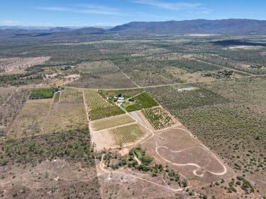House For Sale - QLD - Woodstock - 4816 - Do You Want A 50 Acre Mango Farm With Your Own Shooting Range And Buggy Track?  (Image 2)