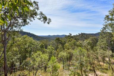 Lifestyle For Sale - NSW - Wollombi - 2325 - The Zigzag Cabin  (Image 2)