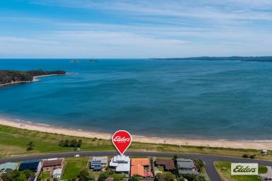 House For Sale - NSW - Maloneys Beach - 2536 - Beachfront at Maloneys  (Image 2)