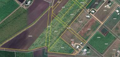 Residential Block For Sale - QLD - Ayr - 4807 - Acreage on Edge of Town - Subdivision Potential (Image 2)