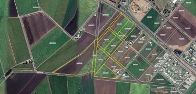 Residential Block For Sale - QLD - Ayr - 4807 - Acreage on Edge of Town - Subdivision Potential (Image 2)