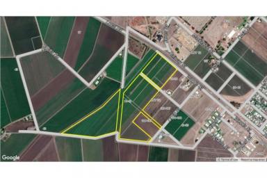 Residential Block For Sale - QLD - Ayr - 4807 - Acreage on Edge of Town - Subdivision Potential (Image 2)
