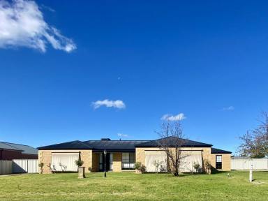 House For Lease - NSW - Moama - 2731 - Modern Living Centrally Located  (Image 2)
