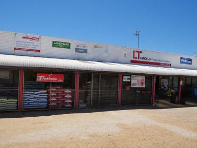 Business For Sale - WA - Lancelin - 6044 - Live the coastal dream lifestyle  (Image 2)