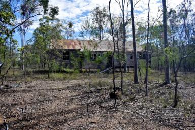 Residential Block For Sale - QLD - Tiaro - 4650 - WHEN YOU WANT LAND ABOUND WITH NO ONE AROUND!  (Image 2)