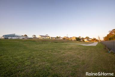 Residential Block For Sale - NSW - Greenwell Point - 2540 - Rare 1,231m2 block in Greenwell Point!  (Image 2)