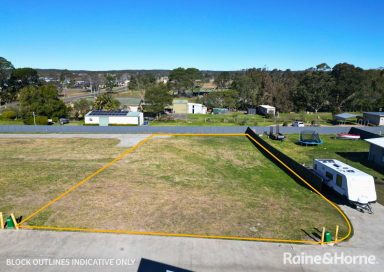 Residential Block For Sale - NSW - Greenwell Point - 2540 - 1,198m2 block, ready for your dream home!  (Image 2)
