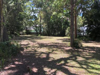 Residential Block For Sale - QLD - Macleay Island - 4184 - STUNNING QUARTER ACRE BLOCK.  (Image 2)