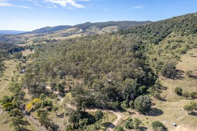 Other (Commercial) Sold - QLD - Mount Whitestone - 4347 - Rural lifestyle opportunity  (Image 2)
