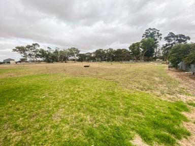 Land/Development For Sale - SA - Lucindale - 5272 - Commercial Allotment  (Image 2)