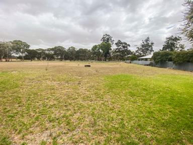 Land/Development For Sale - SA - Lucindale - 5272 - Commercial Allotment  (Image 2)