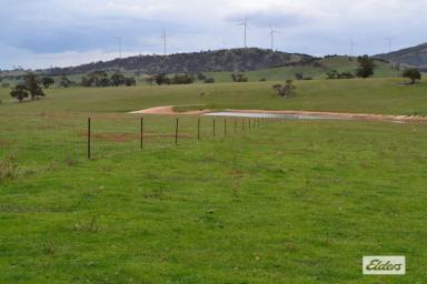 Mixed Farming For Sale - VIC - Crowlands - 3377 - 'Glendhu Valley' Western District Grazing/Wool Production  (Image 2)