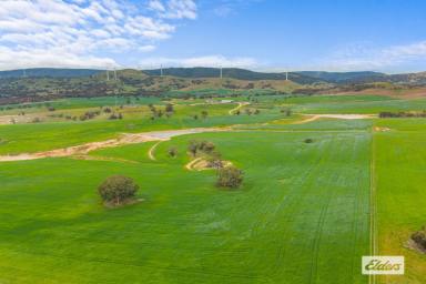 Mixed Farming For Sale - VIC - Crowlands - 3377 - 'Glendhu Valley' Western District Grazing/Fattening/Wool Production  (Image 2)
