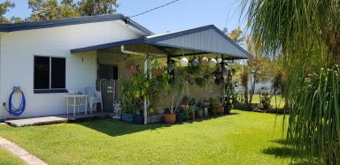 House For Sale - QLD - Kennedy - 4816 - 3 bedroom family home, 1/4 acre fully fenced yard with room to move, close to Cardwell  (Image 2)