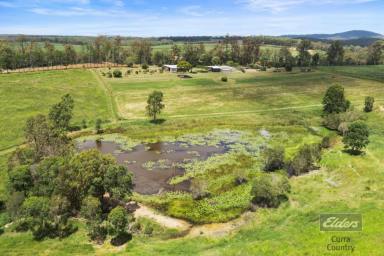 Acreage/Semi-rural For Sale - QLD - Bauple - 4650 - LIFESTYLE AND INCOME ALL IN ONE!  (Image 2)