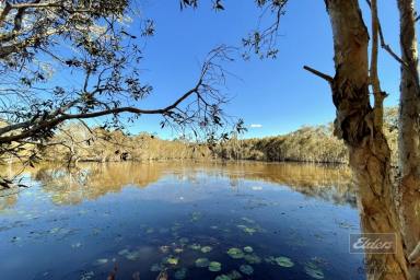 Acreage/Semi-rural For Sale - QLD - Bauple - 4650 - LIFESTYLE AND INCOME ALL IN ONE!  (Image 2)