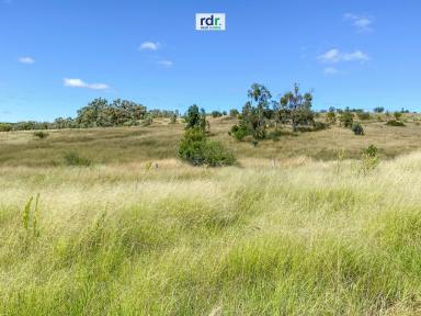 Livestock For Sale - NSW - Inverell - 2360 - 500ac GRAZING PROPERTY  (Image 2)