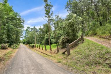 House For Sale - NSW - St Albans - 2775 - Rustic Country Cottage on 8 Magical Acres – Your Very Own Piece Of Paradise!  (Image 2)