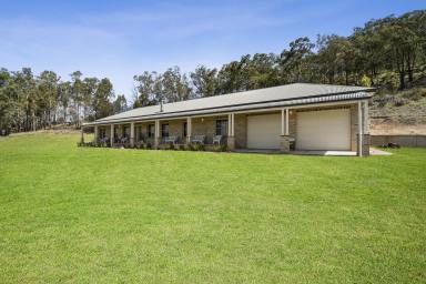 House For Sale - NSW - Putty - 2330 - 2 Homes - 81 arable acres plus additional investment income  (Image 2)