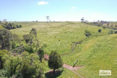 Other (Rural) For Sale - VIC - Stratford - 3862 - Commanding Ridgetop Views  (Image 2)