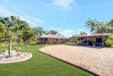 House For Sale - QLD - Mount Chalmers - 4702 - Lifestyle Opportunity/ Its all done!  (Image 2)