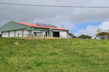 Other (Rural) For Sale - TAS - Lymwood - 7256 - OPPORTUNITY KNOCKS!  (Image 2)