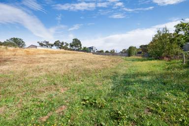 Residential Block For Sale - VIC - Hepburn Springs - 3461 - Highly Affordable & 100% Build Ready Allotment In Ever Popular Hepburn Springs  (Image 2)