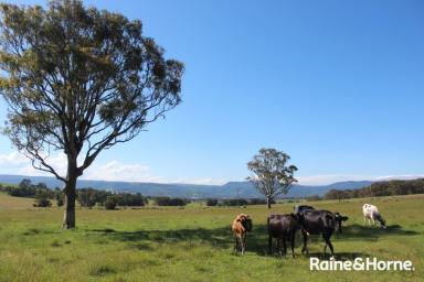 Cropping For Sale - NSW - Far Meadow - 2535 - Premium Rural Acreage With Views & Subdivision Potential  (Image 2)