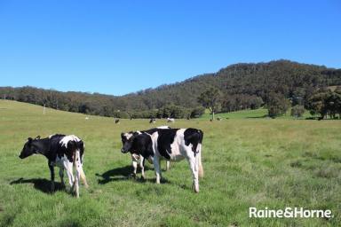 Cropping For Sale - NSW - Far Meadow - 2535 - Premium Rural Acreage With Views & Subdivision Potential  (Image 2)