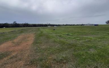 Residential Block For Sale - WA - Frankland River - 6396 - Escape to the Country - Frankland River Farm  (Image 2)