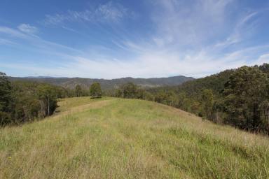 Other (Rural) For Sale - NSW - Cooplacurripa - 2424 - 'SPRING CREEK' BROAD ACRES AND LONG RIVER FRONTAGE  (Image 2)