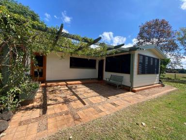 Acreage/Semi-rural For Lease - QLD - East Barron - 4883 - MORE THAT MEETS THE EYES - With Garden Maintenance Included.  (Image 2)