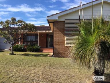 House Leased - NSW - Taree - 2430 - Four Bedrooms In Taree West  (Image 2)