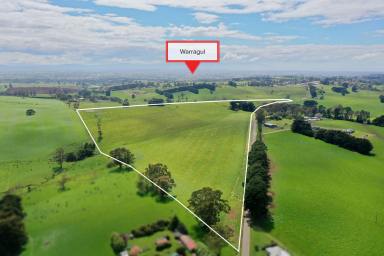 Other (Rural) For Sale - VIC - Warragul - 3820 - 60 acres Prime Grazing Land- Town Boundary  (Image 2)