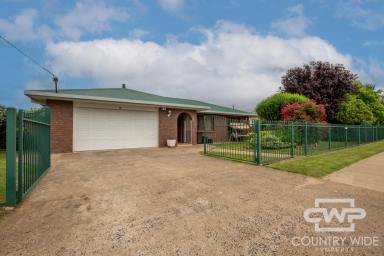 House For Lease - NSW - Guyra - 2365 - Neat As A Pin  (Image 2)