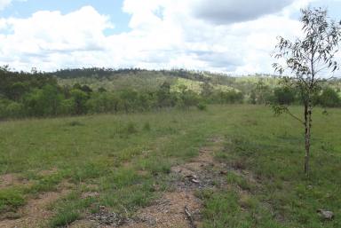 Livestock For Sale - QLD - Dallarnil - 4621 - 424 ACRES OF UNDULATING GRAZING COUNTRY  (Image 2)