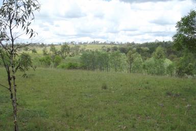 Livestock For Sale - QLD - Dallarnil - 4621 - 424 ACRES OF UNDULATING GRAZING COUNTRY  (Image 2)