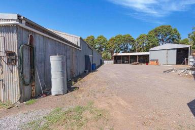 Industrial/Warehouse For Sale - VIC - Hamilton - 3300 - Commercial Industrial Sheds in CBD  (Image 2)